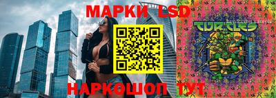 ГАЛЛЮЦИНОГЕННЫЕ ГРИБЫ Кандалакша