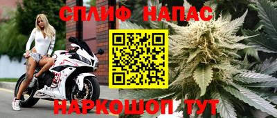ГАЛЛЮЦИНОГЕННЫЕ ГРИБЫ Кандалакша