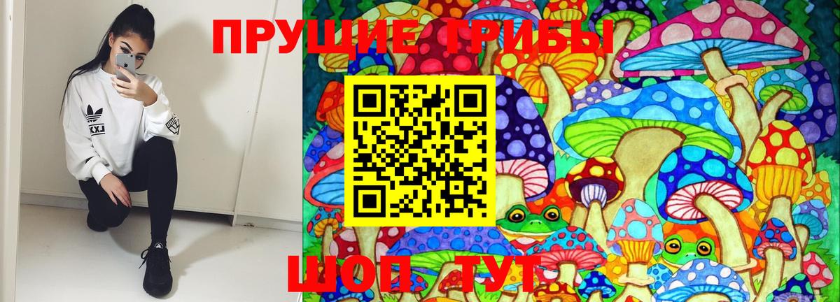 Галлюциногенные грибы GOLDEN TEACHER  купить наркотик  Уварово  Псилоцибиновые грибы Magic Shrooms  Вход с VPN 